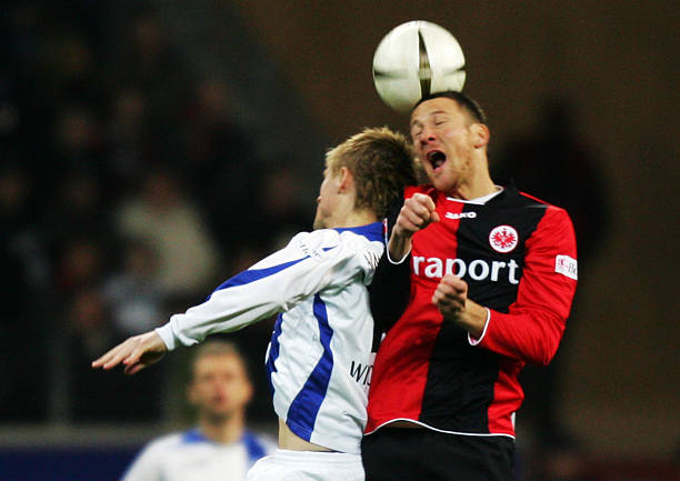 稳定性与竞 稳定性与竞