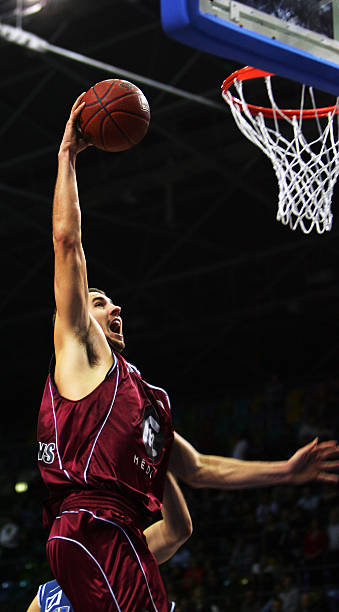 示了网球世 示了网球世